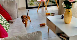 Apartamento Santa Teresita