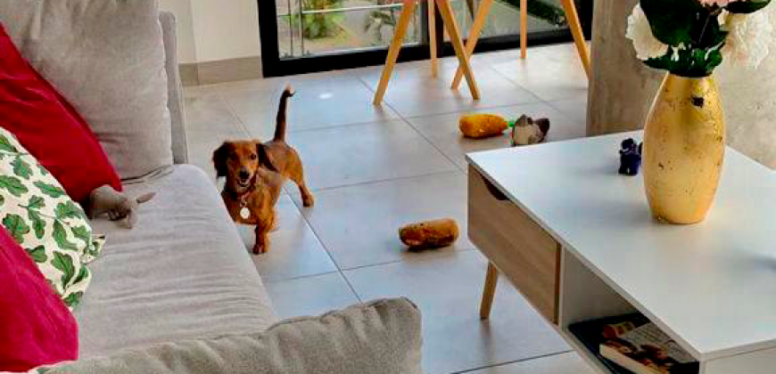 Apartamento Santa Teresita